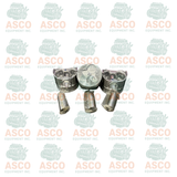 Piston and Ring kit for Kubota Engines D902 Oversize + 0.50