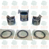 Piston and Ring kit for Kubota Engines  D905 STD Non Alfin