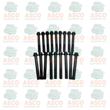 18Pcs Cylinder Head Bolt for Kubota Engine V3300 V3600 V3800